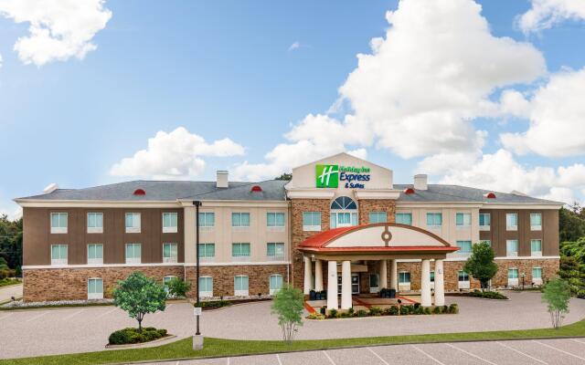 Holiday Inn Express Winona North