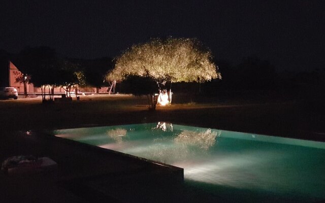 The Elephant Pass Yala