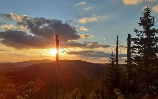 Apartment in Goggersreut mit Terrasse