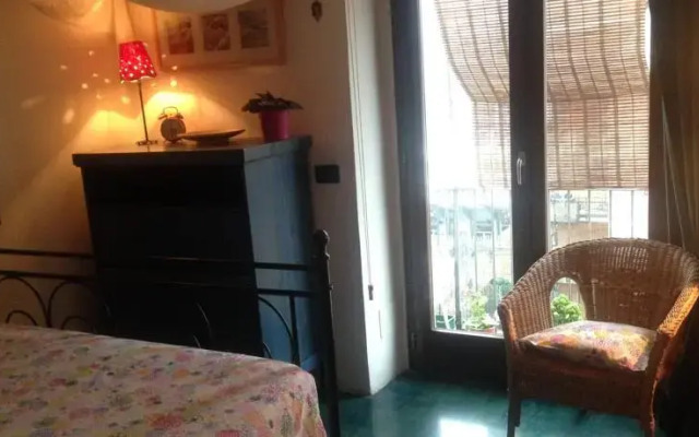 Mole'N Room