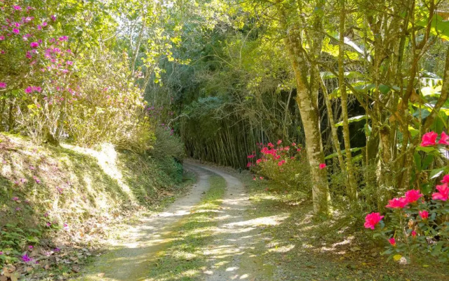 Pousada Passaredo Montanha