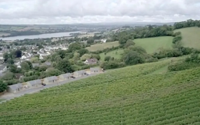 Old Walls Vineyard