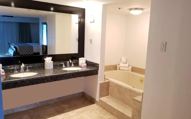 Wyndham Houston near NRG Park/Medical Center