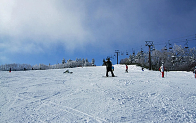 Yuzawa Ski House
