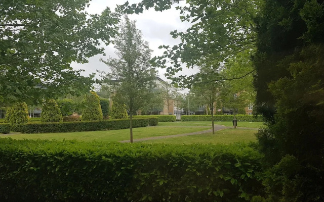 Watford Metro Apartment