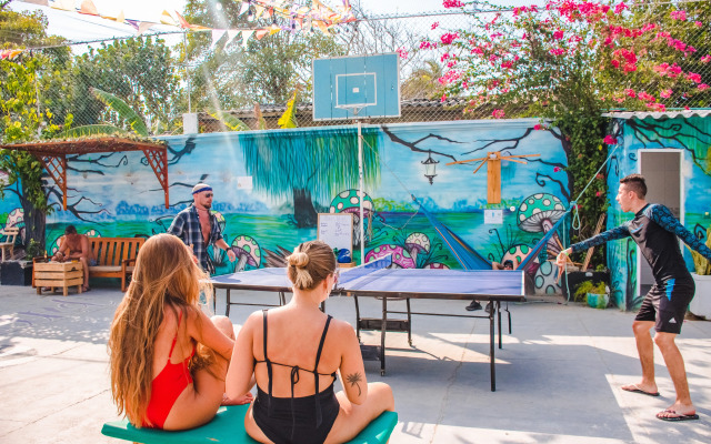 Wonderland Hostel By GB Collection