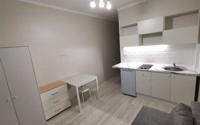 In an apartment on Zarechnaya Street