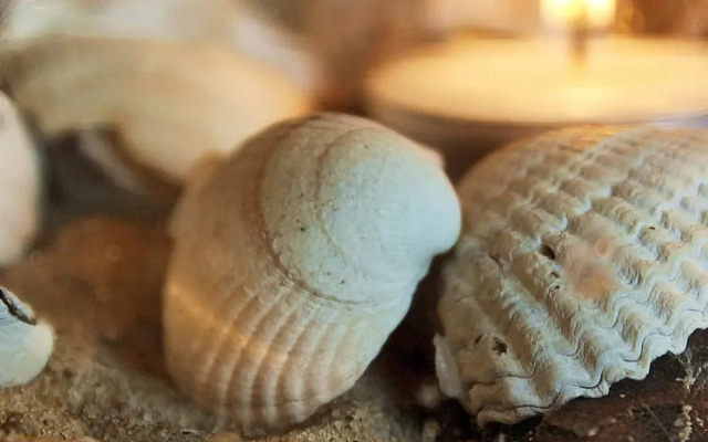 18 Person Holiday Home in Ulfborg-by Traum