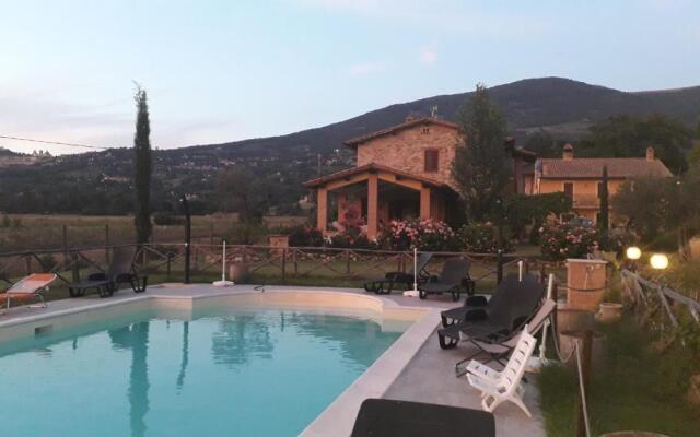 Sulla Strada Di San Francesco