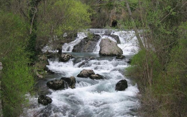 Immersi nella natura