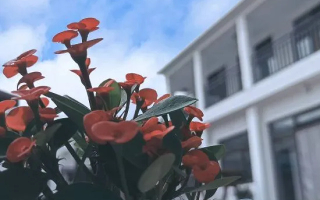 Shidu Rural Impression Farm House