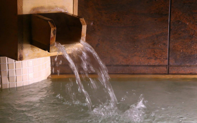 Ryokan Kamogawa Asakusa