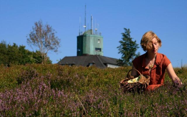 Das Nest Winterberg