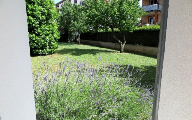 House Vanda