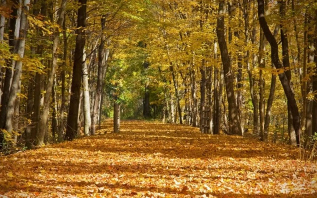 Gyeongju Woori Nuri Pension