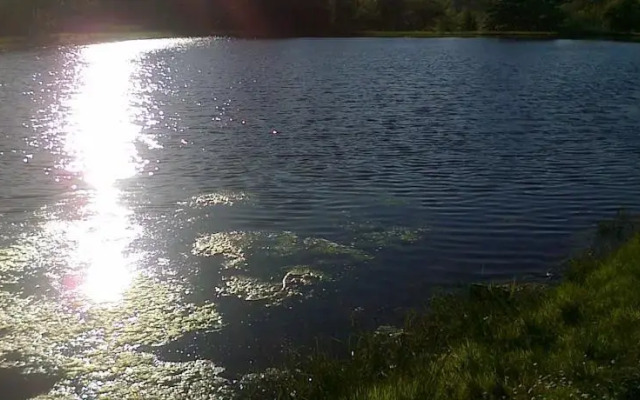 Cashel Lake View Bed and Breakfast