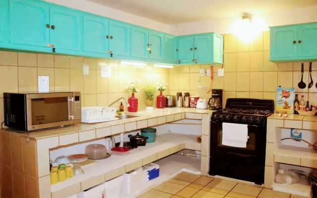 Pata de Perro Bacalar