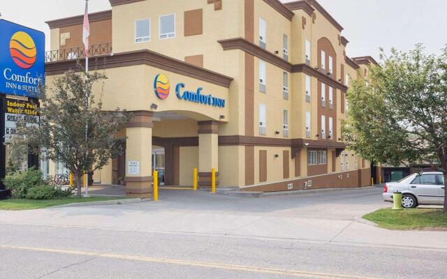 Comfort Inn & Suites University