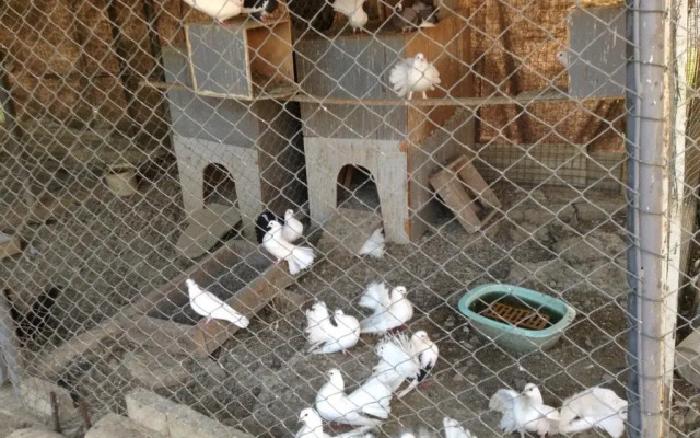 Rajskij Ugolok Guest House