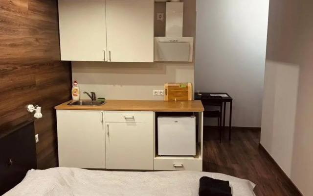 Eksporta central apartment