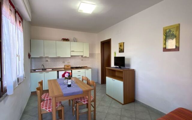 Palazzeta III (VAD151)