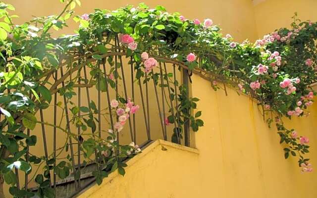 B&B Maison Rosetta IUN-E4948