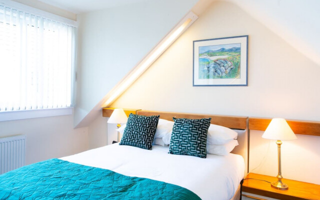 The Albatross - Everything s Above Par