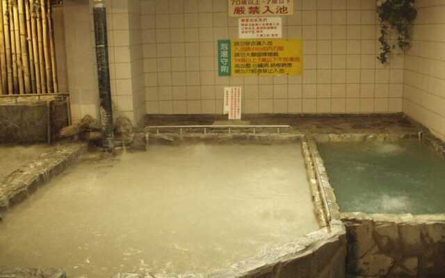 Hale Crane Volcanic Mud Hot Spring Hotel