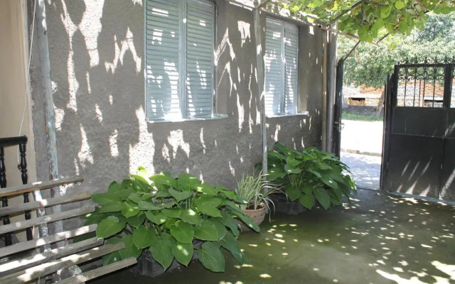The Kiwi House