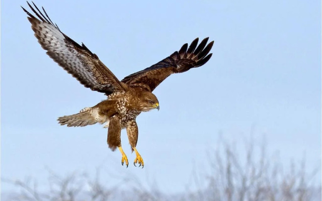 Holiday Home Brandthuberren