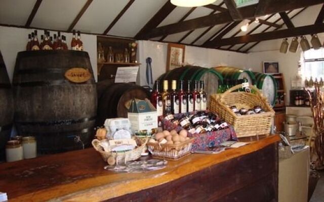 Forest Tea House B & B