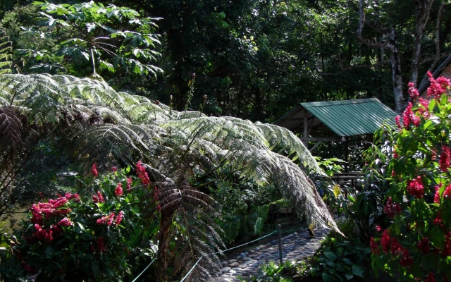 Playa Selva Lodge