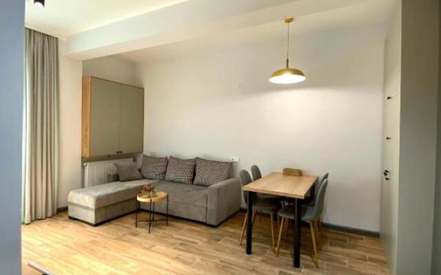 Snow Forest Bakuriani Apartment 10