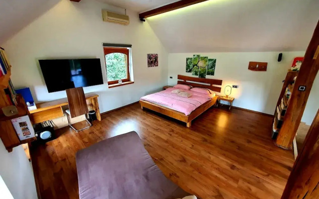 Vineyard cottage Matej