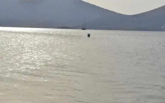 Korali