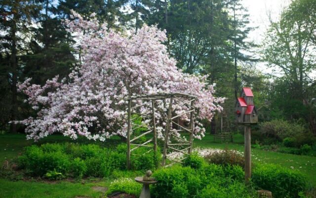 Bayfield Boutique B&B