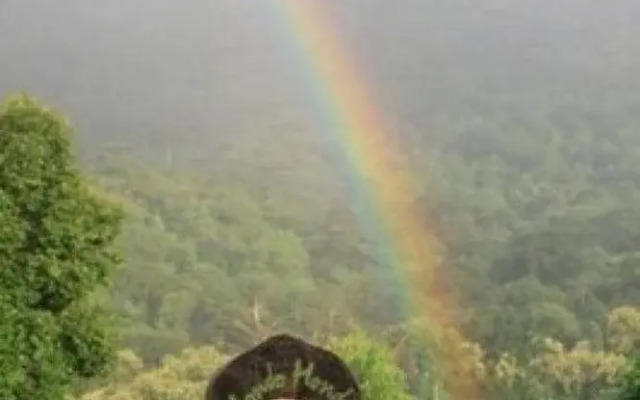Udzungwa Forest Tented Camp