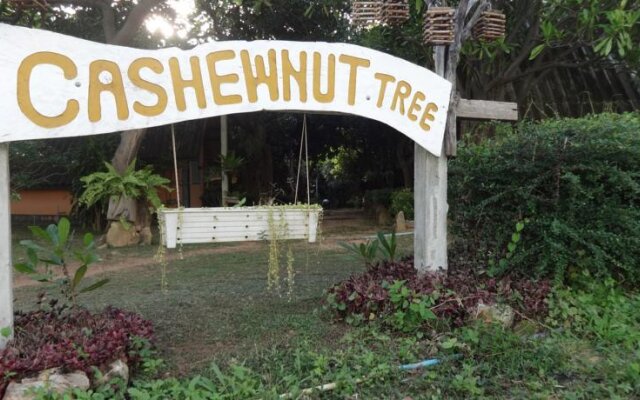 Cashewnut Tree Bungalows