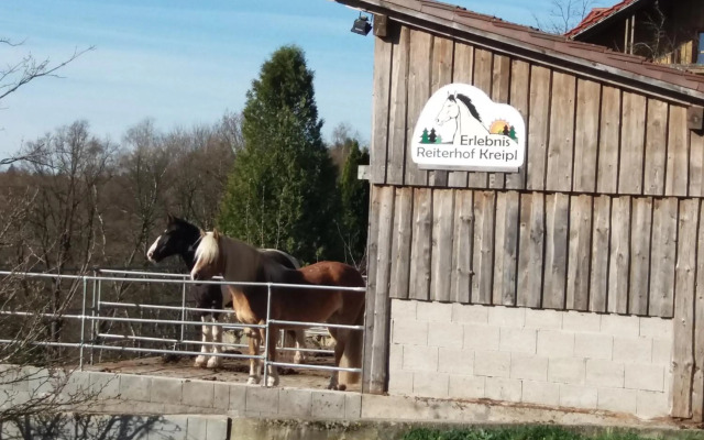 Ferienwohnung auf dem Erlebnisreiterhof Kreipl