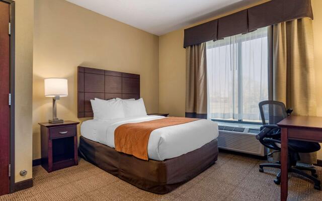 Comfort Suites Airport South