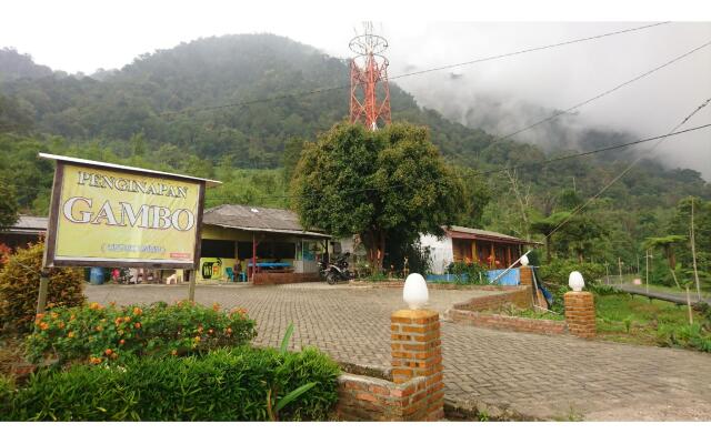 Penginapan Gambo