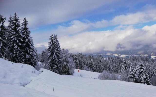 Ferienwohnung Blick auf die Buchensteinerwand