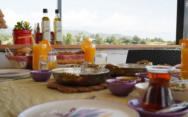 Kandybos Eco Farm Village