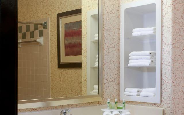 Holiday Inn Express Hotel & Suites Brownsville by IHG