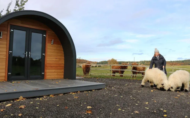 Glampods - 5 Berth Glamping Pod Elgin