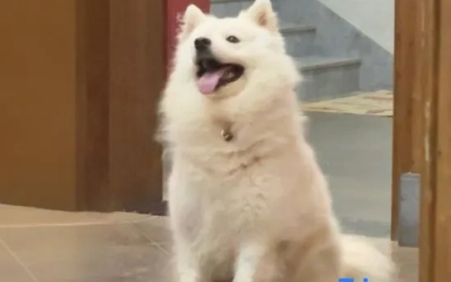 Wuyuan Mingquan Shanshu Homestay (Guangling Scenic Area)