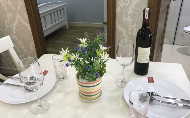 Handy Luxury Apartment