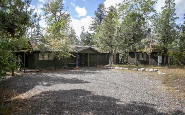 PV - Yellowstone Pines