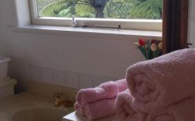 Taranaki (Adults Only)