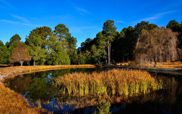 Molinillos Mountain Resort